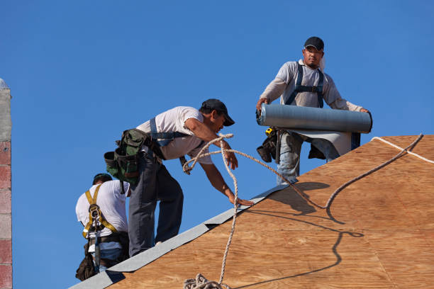 Best Roof Gutter Cleaning  in Lisbon, ND